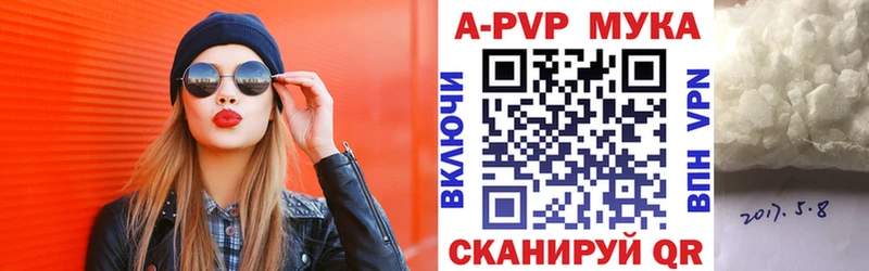 KRAKEN вход  Новосибирск  Alfa_PVP СК КРИС 