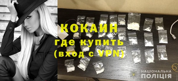 бошки Коряжма