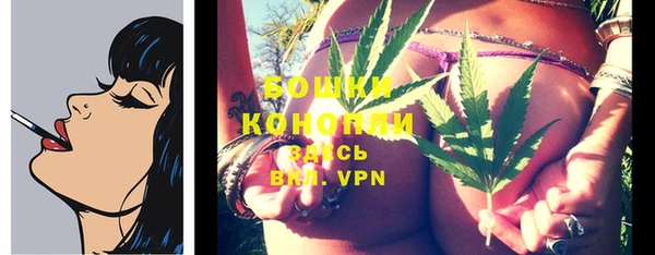 бошки Коряжма