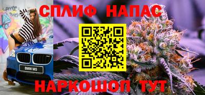хмурый Гусь-Хрустальный