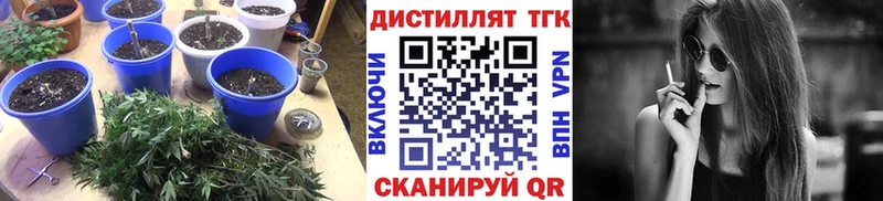Дистиллят ТГК жижа сколько стоит Новосибирск