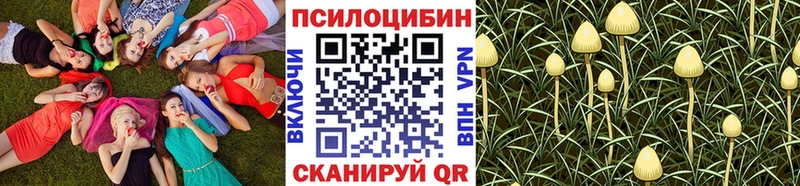 Псилоцибиновые грибы Psilocybe  Новосибирск 