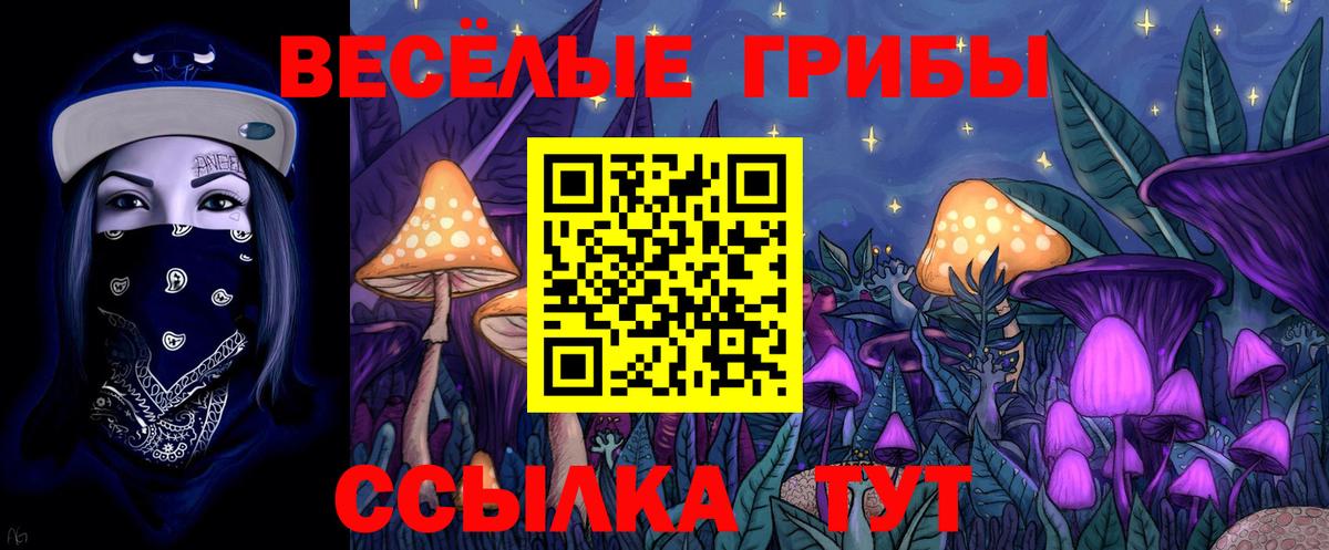 Галлюциногенные грибы ЛСД Новосибирск