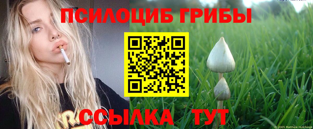 сколько стоит  Вход с VPN  Новосибирск  Псилоцибиновые грибы прущие грибы 